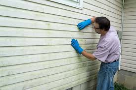 Best Vinyl Siding Installation  in East Moriches, NY